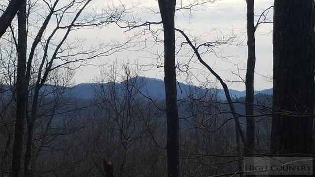 Tba Penley Road Blowing Rock, NC 28605 - Photo 2 of 7 Gallery Image 2