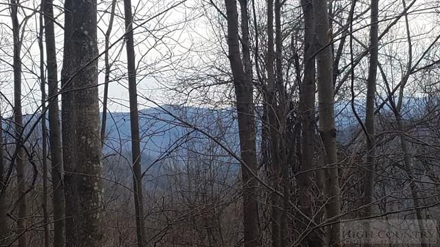 Tba Penley Road Blowing Rock, NC 28605 - Photo 3 of 7 Gallery Image 3