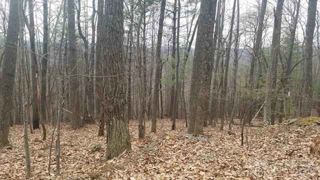 Tba Penley Road Blowing Rock, NC 28605 - Photo 5 of 7 Gallery Image 5