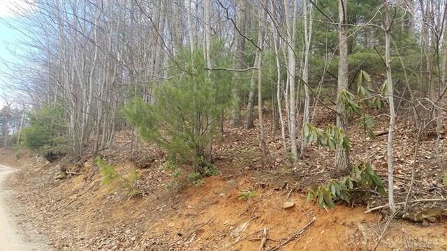 Tba Penley Road Blowing Rock, NC 28605 - Photo 6 of 7 Gallery Image 6