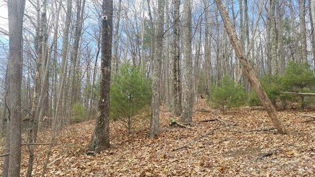 Tba Penley Road Blowing Rock, NC 28605 - Photo 7 of 7 Gallery Image 7
