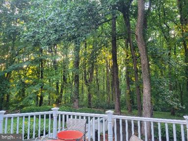 4020 Beach Drive Chesapeake Beach, MD 20732 - Photo 2 of 3 a view of a forest from a balcony