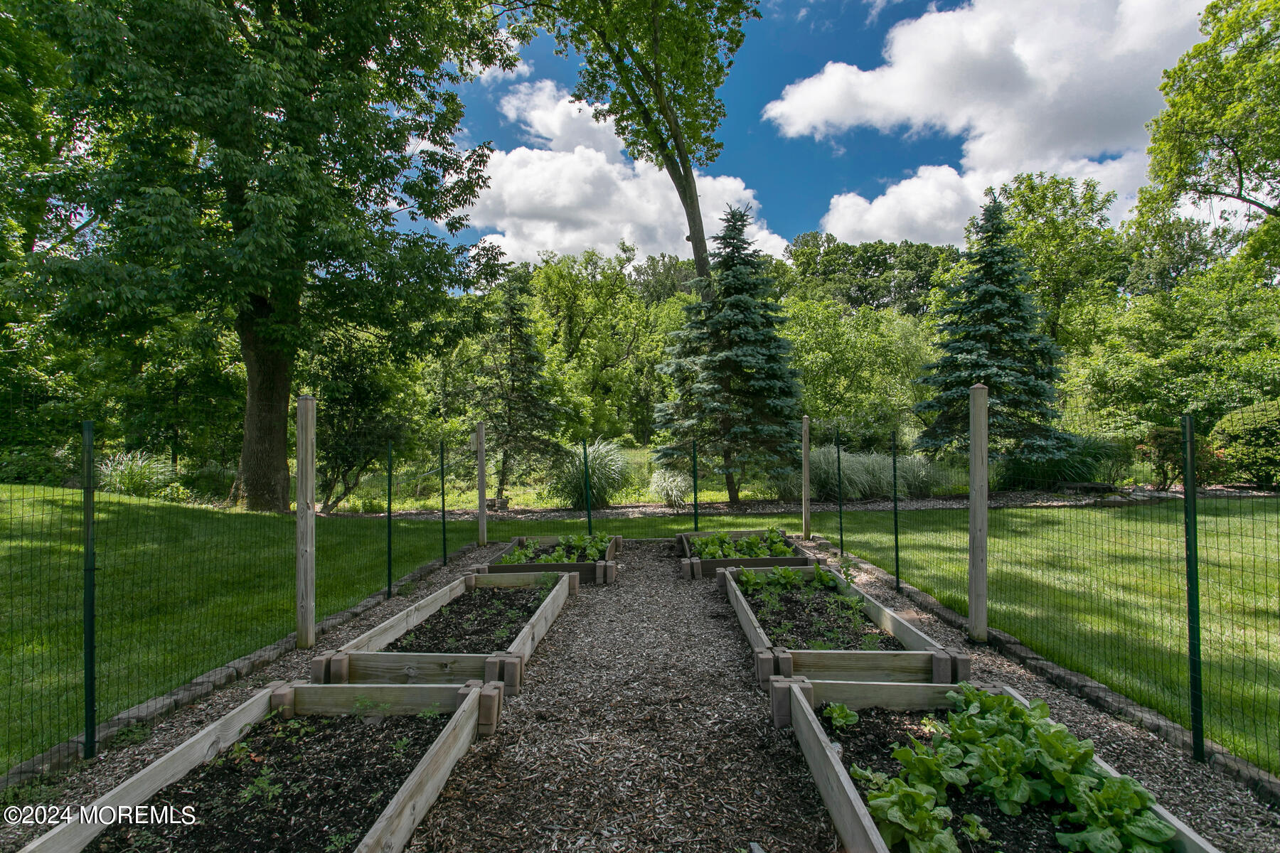 44 Meadowview Drive Colts Neck, NJ 07722 - Photo 65 of 68 a view of a yard with large trees