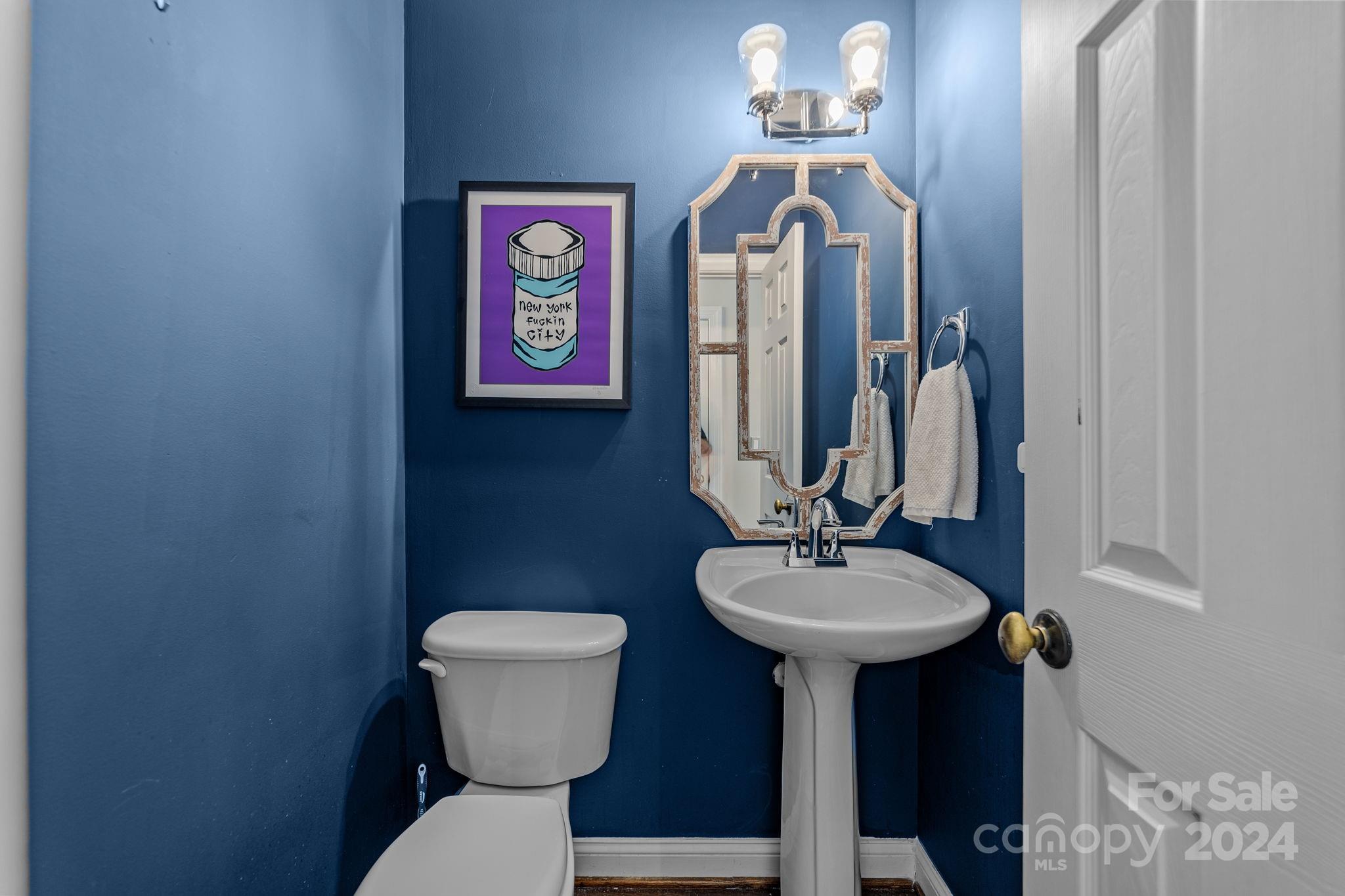 20443 Middletown Road Cornelius, NC 28031 - Photo 17 of 31 a bathroom with a sink and a mirror