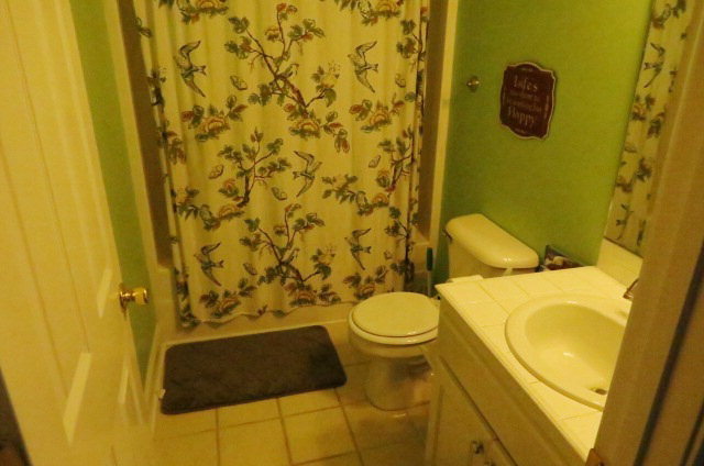 132 Deer Ridge Drive Lizella, GA 31052 - Photo 6 of 11 a bathroom with a sink and a toilet