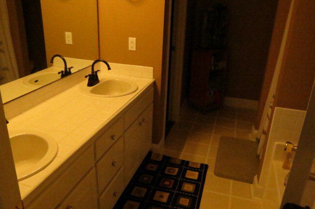 132 Deer Ridge Drive Lizella, GA 31052 - Photo 9 of 11 a bathroom with a sink and mirror