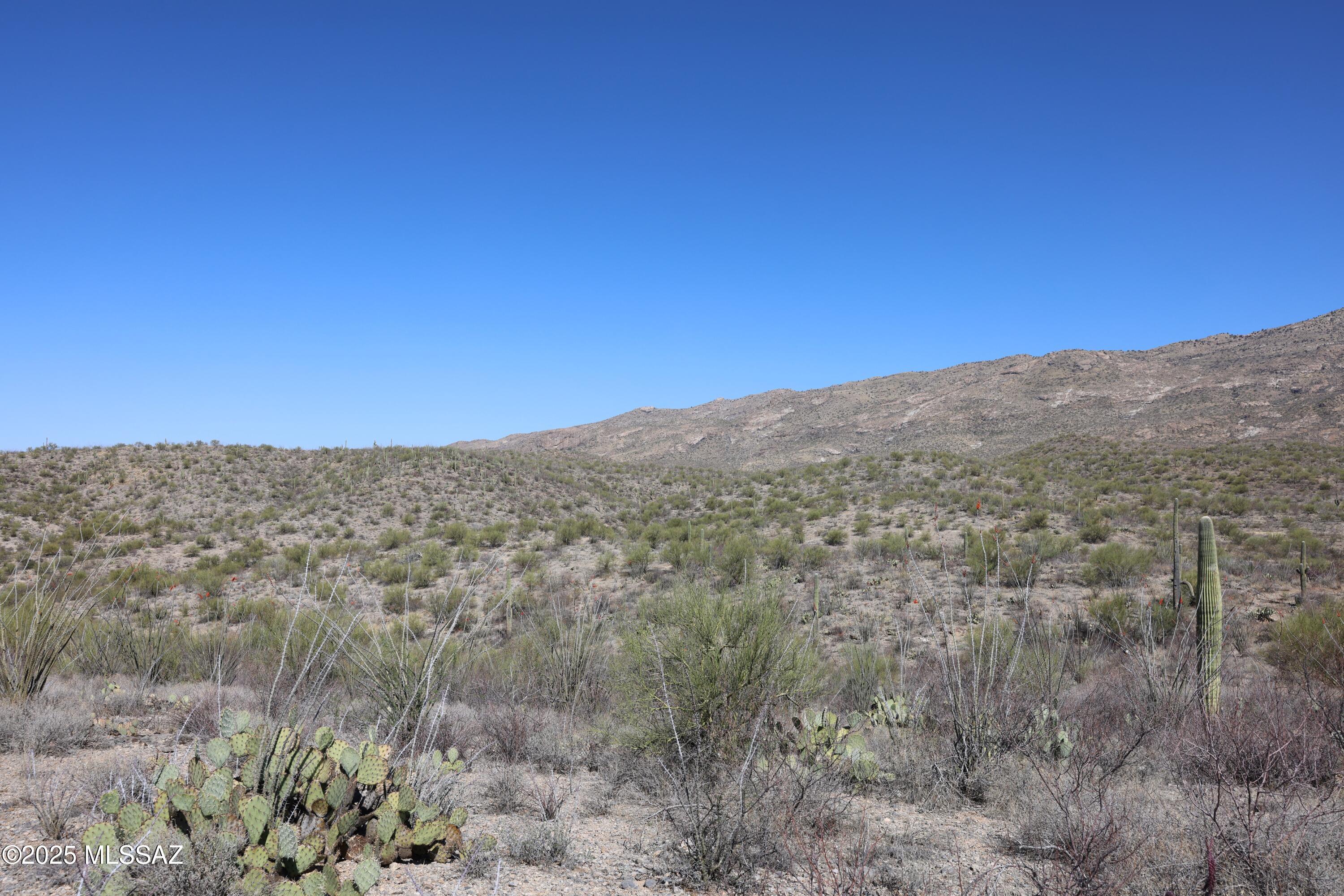 East Rincon Creek Ranch Road Tucson, AZ 85747 - Photo 3 of 5