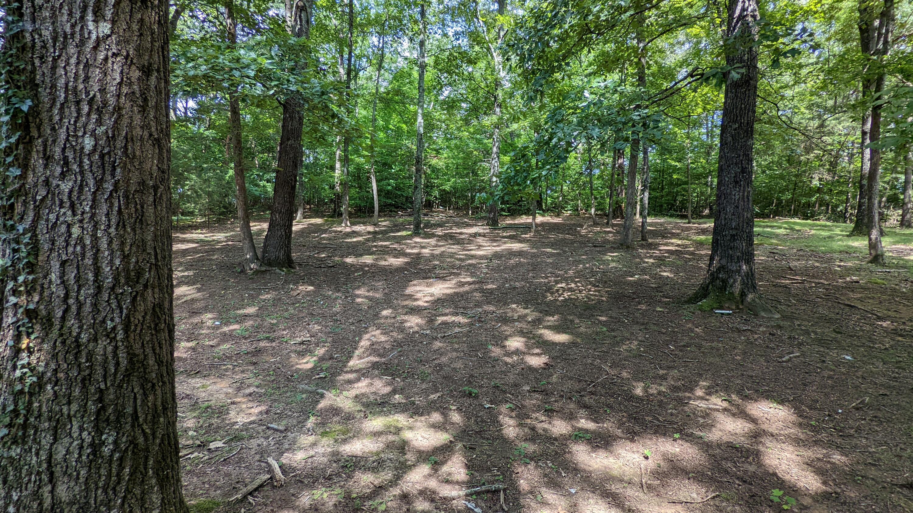 245 Sharp Street Whitwell, TN 37397 - Photo 25 of 26 PXL_20220727_155922743