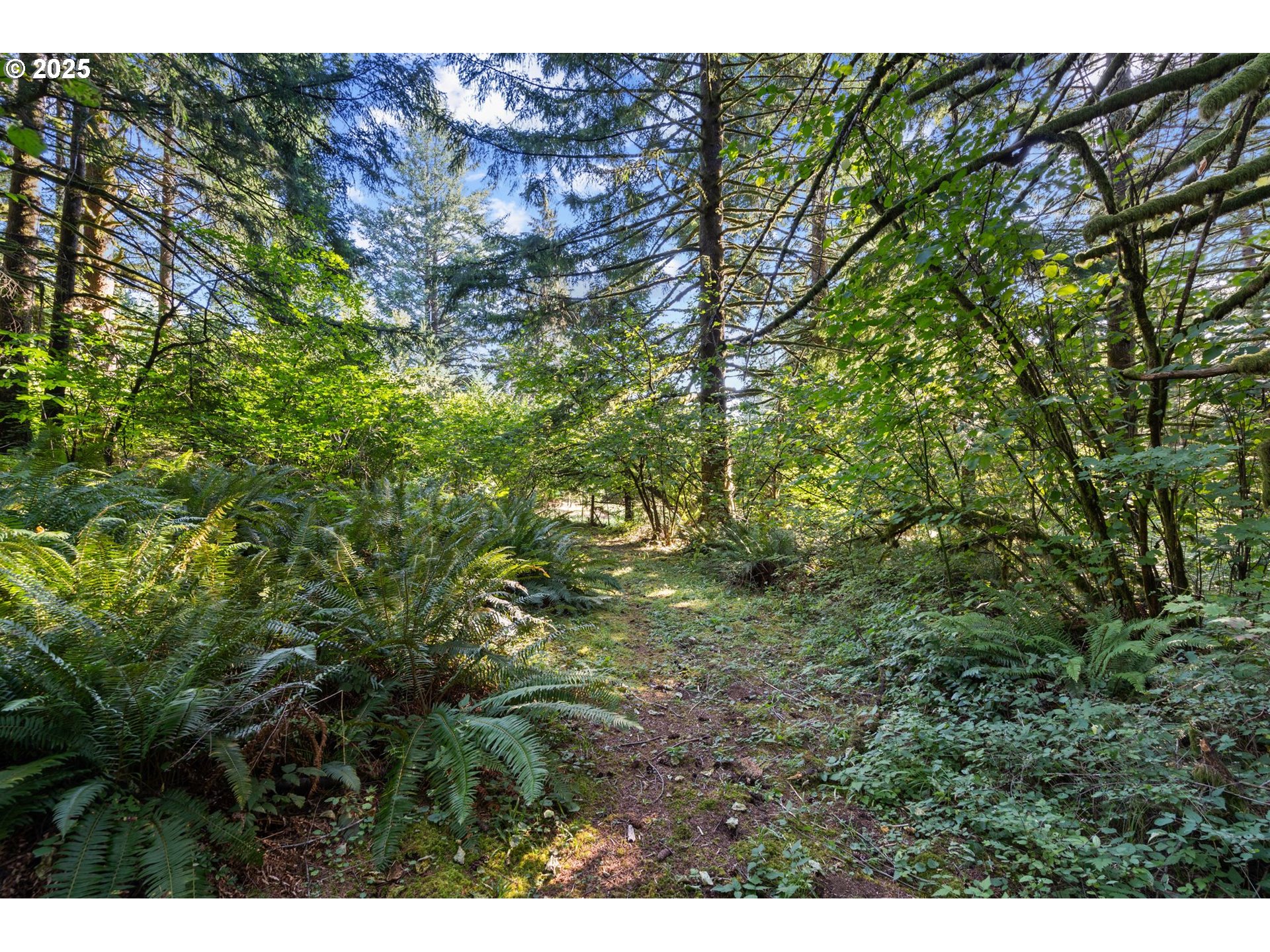 182 Yule Road Washougal, WA 98671 - Photo 36 of 48 Gallery Image 36
