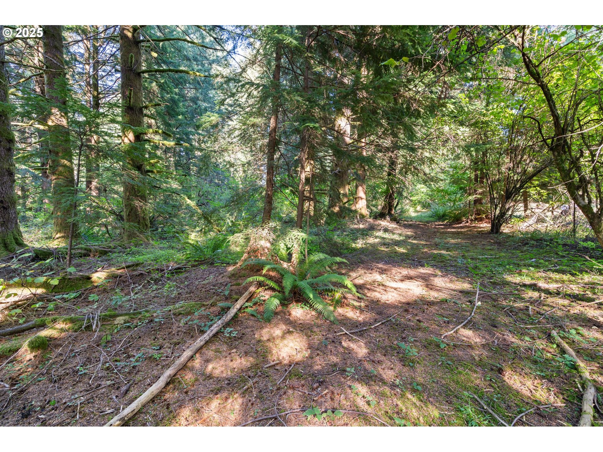 182 Yule Road Washougal, WA 98671 - Photo 38 of 48 Gallery Image 38