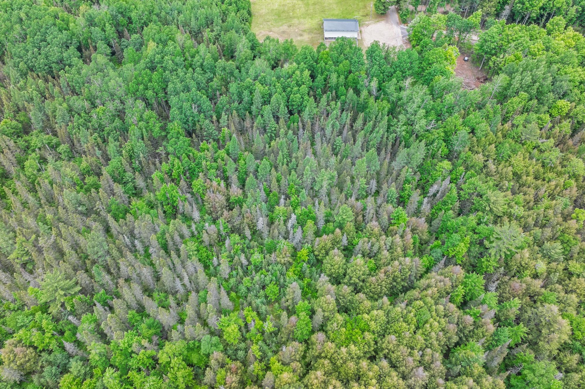 Three Javen Road, Unit SE 10A Three Lakes, WI 54562 - Photo 37 of 43