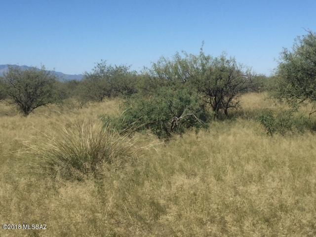 Dragoon Mountain Ranch Street, Unit 88 St. David, AZ 85630 - Photo 6 of 6 Gallery Image 6