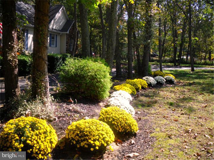 538 Kettle Run Road Evesham, NJ 08053 - Photo 2 of 25 Front Yard