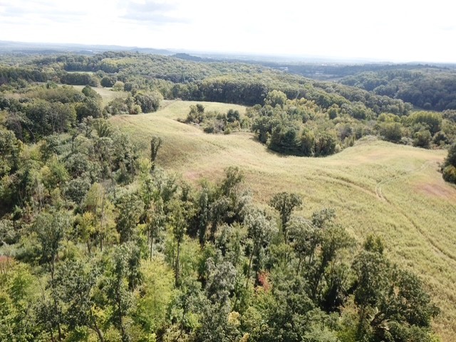 0 Roningen Road Black River Falls, WI 54615 - Photo 1 of 17
