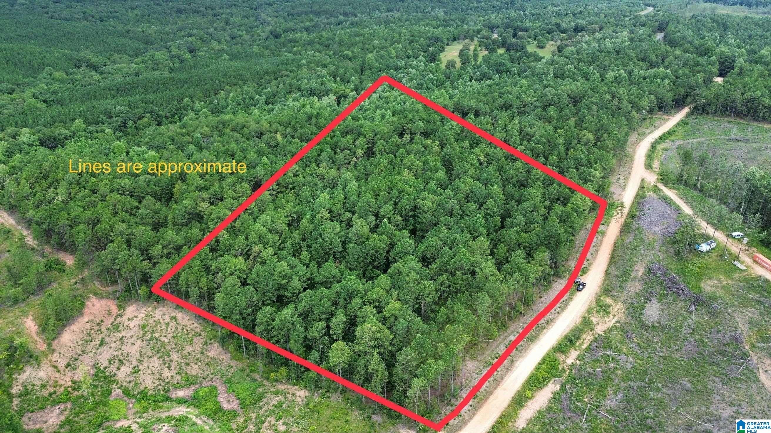 204 County Road 485 Clanton, AL 35046 - Photo 1 of 5