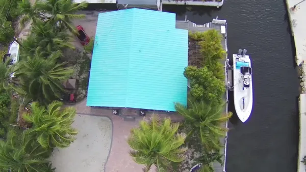 a picture of a palm plant