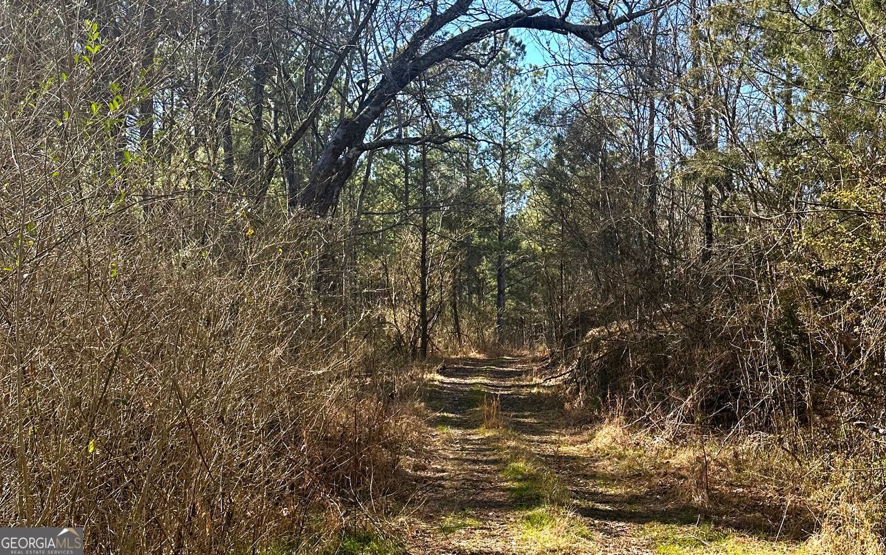 0 Conniston Road Chatsworth, GA 30705 - Photo 11 of 20 a view of outdoor space and a lake view