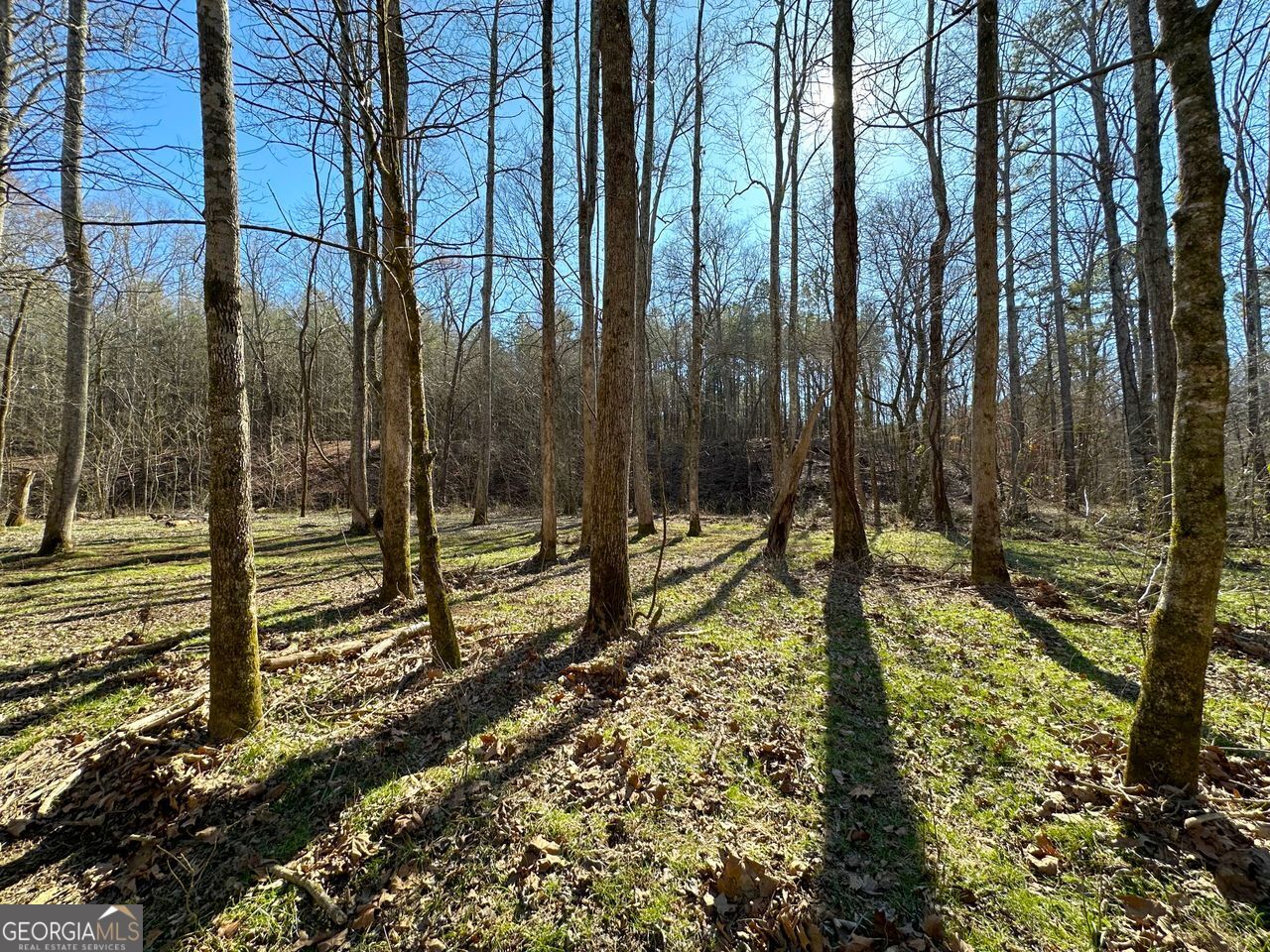 0 Conniston Road Chatsworth, GA 30705 - Photo 12 of 20 a view of a yard with street from a tree