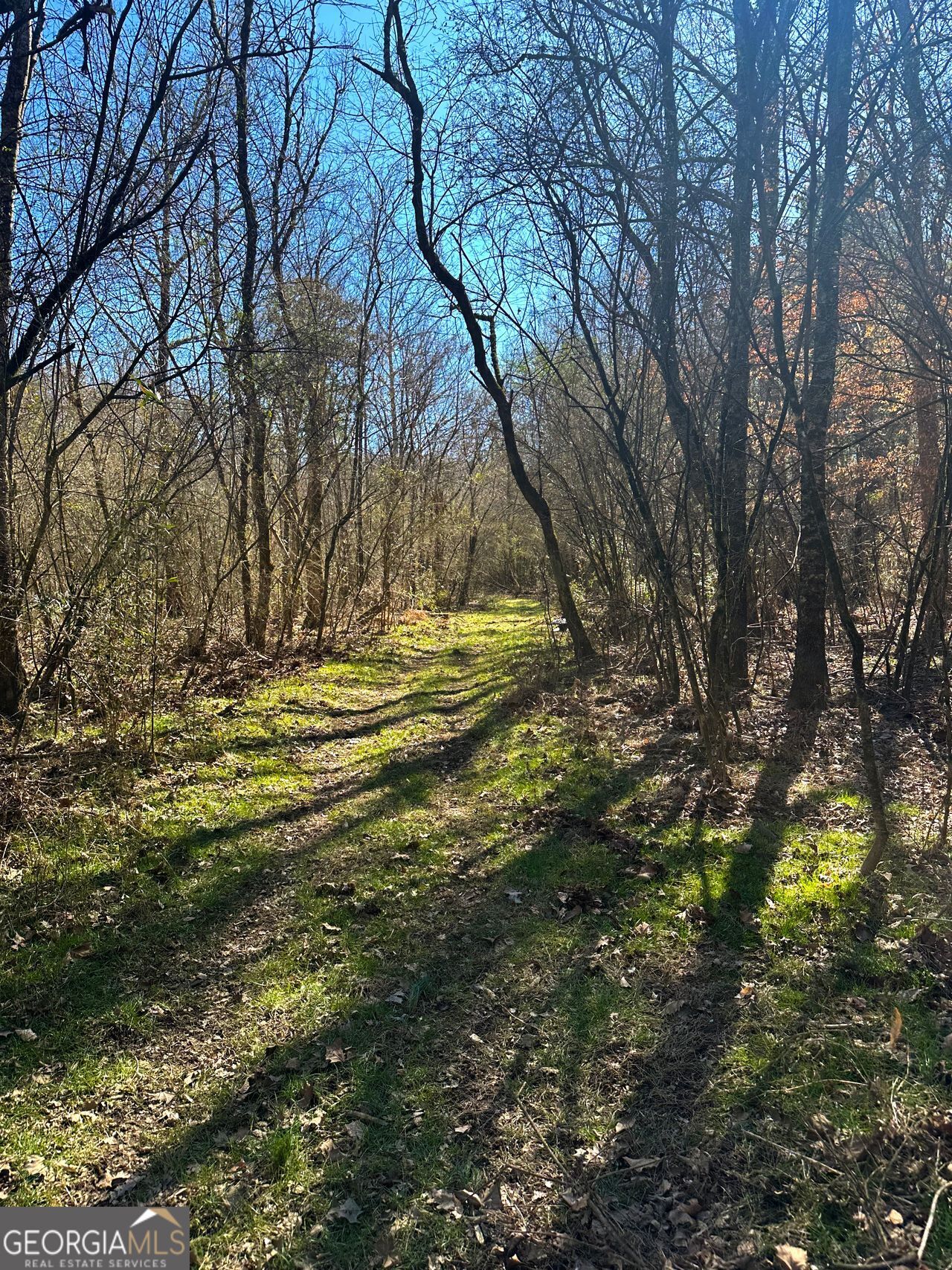 0 Conniston Road Chatsworth, GA 30705 - Photo 13 of 20 a view of outdoor space with trees