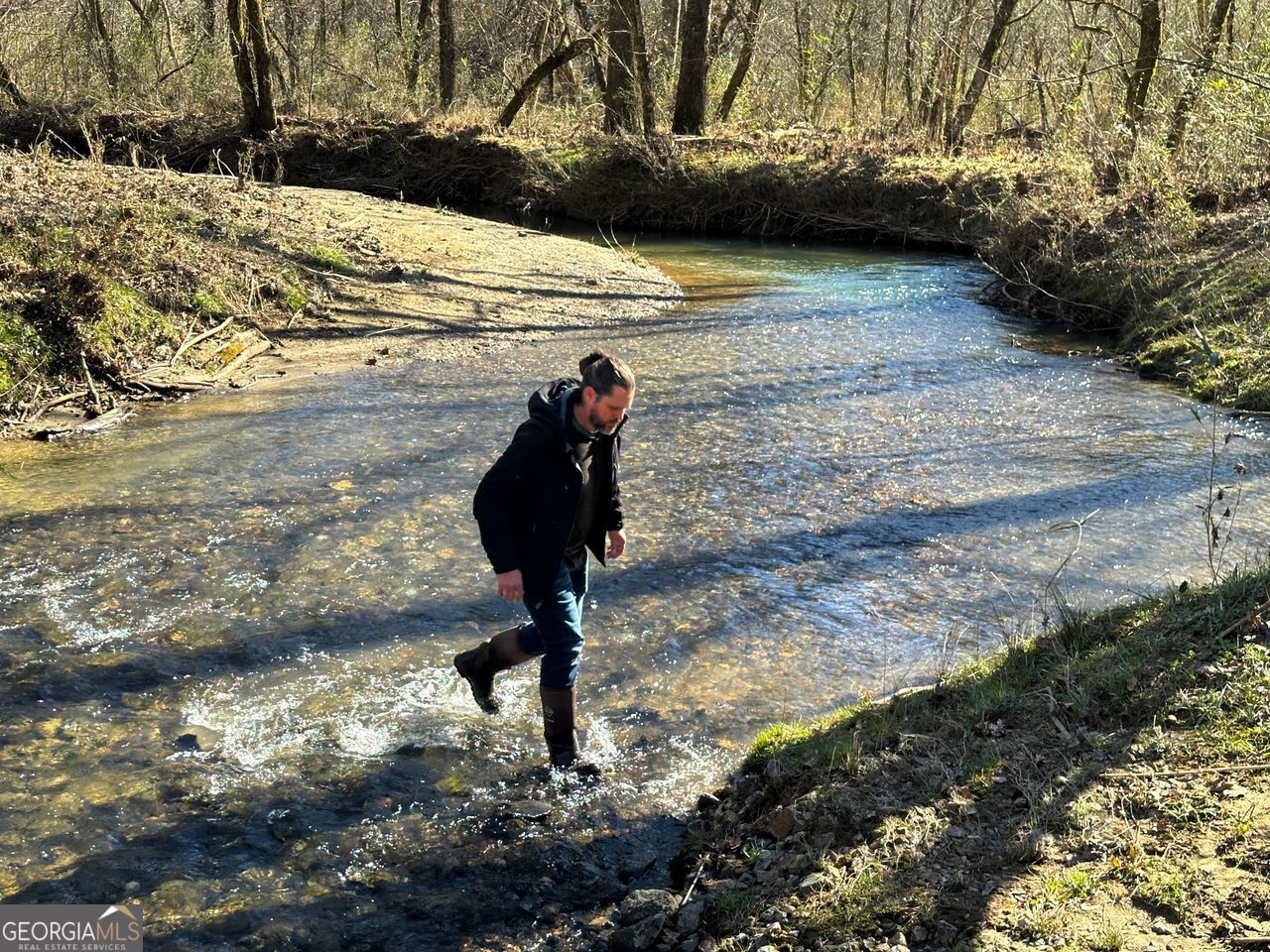 0 Conniston Road Chatsworth, GA 30705 - Photo 17 of 20 a view of a yard
