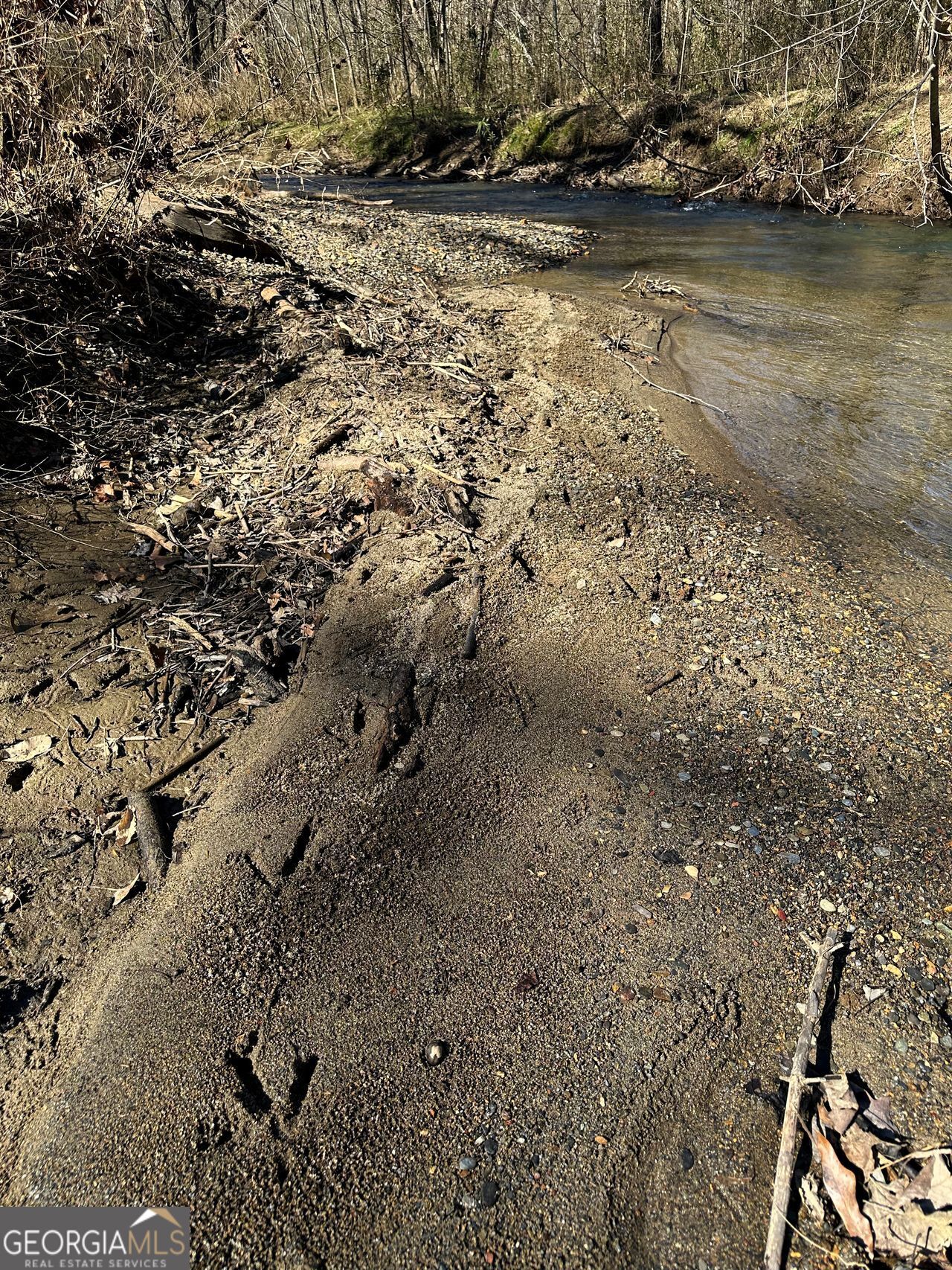 0 Conniston Road Chatsworth, GA 30705 - Photo 18 of 20 a view of a lake with lots of trees