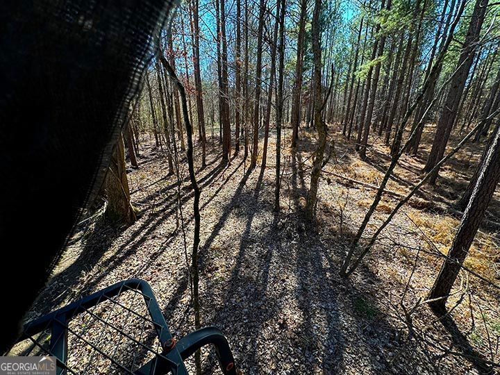 0 Conniston Road Chatsworth, GA 30705 - Photo 19 of 20 a view of outdoor space with garden