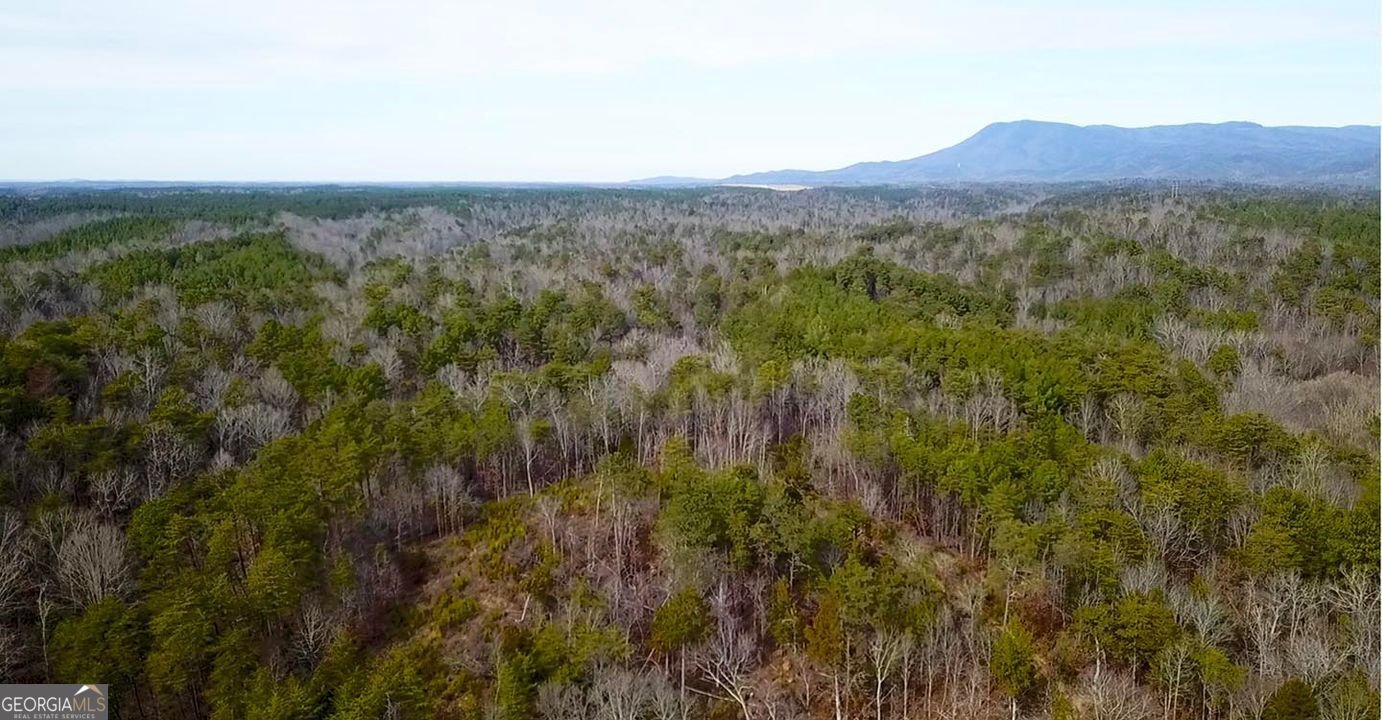 0 Conniston Road Chatsworth, GA 30705 - Photo 20 of 20 a view of a lush green hillside and a houses
