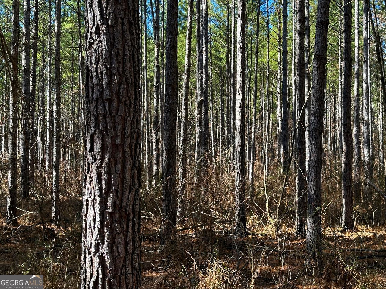 0 Conniston Road Chatsworth, GA 30705 - Photo 2 of 20 a view of outdoor space with sitting area