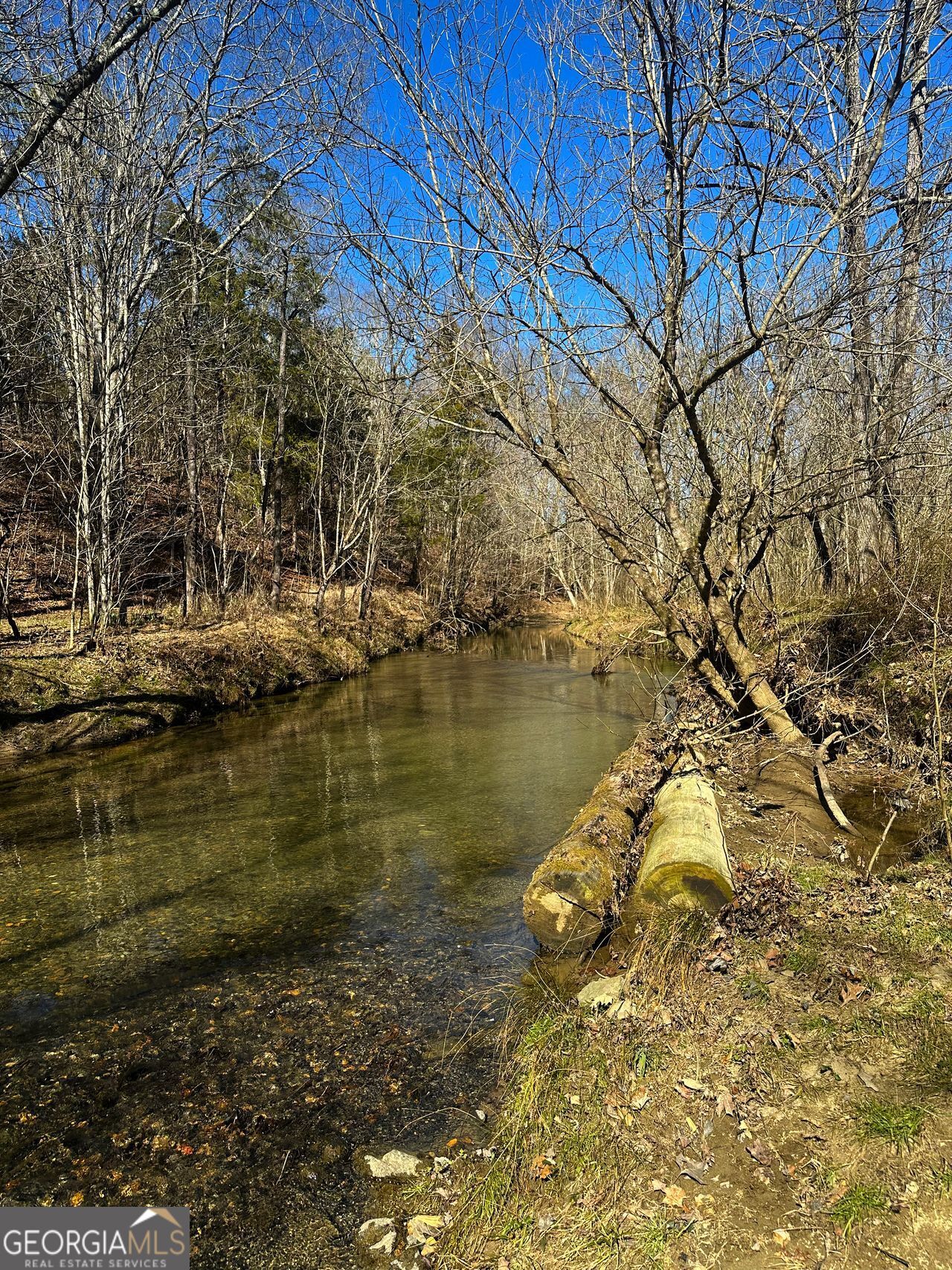 0 Conniston Road Chatsworth, GA 30705 - Photo 3 of 20 a view of lake
