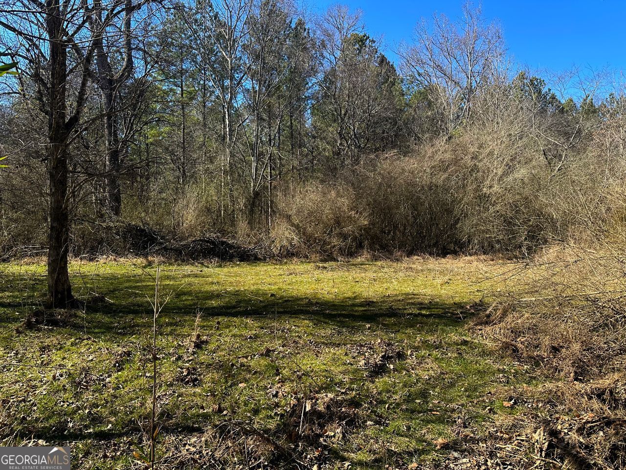 0 Conniston Road Chatsworth, GA 30705 - Photo 4 of 20 a view of a swimming pool with a yard