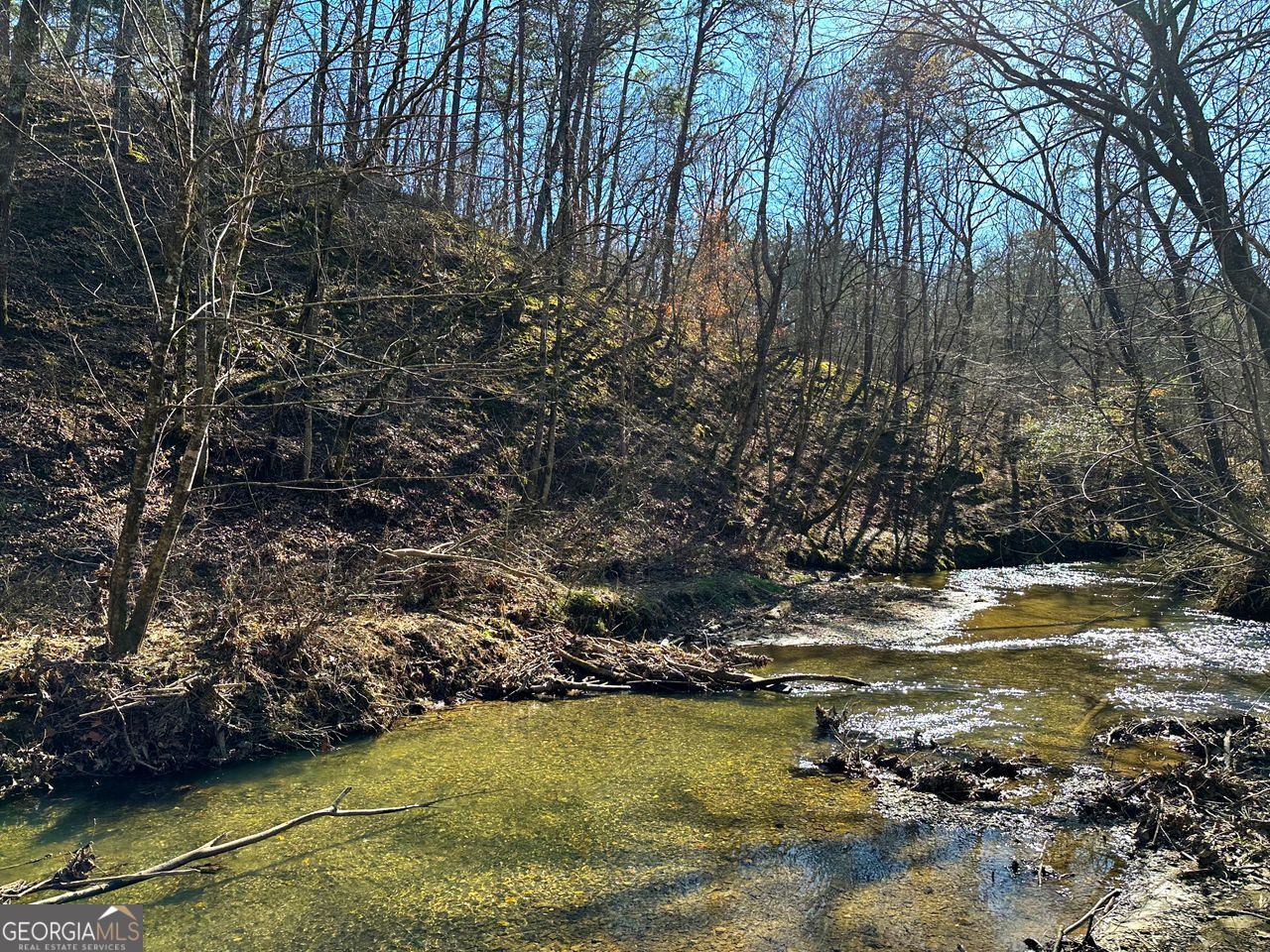 0 Conniston Road Chatsworth, GA 30705 - Photo 5 of 20 a view of lake with trees