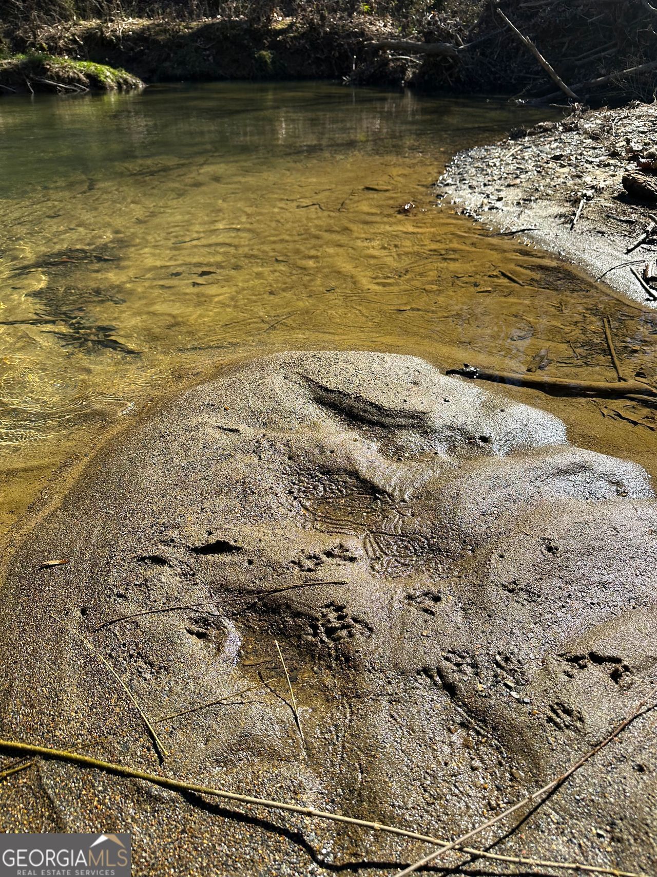 0 Conniston Road Chatsworth, GA 30705 - Photo 6 of 20 a view of a water view