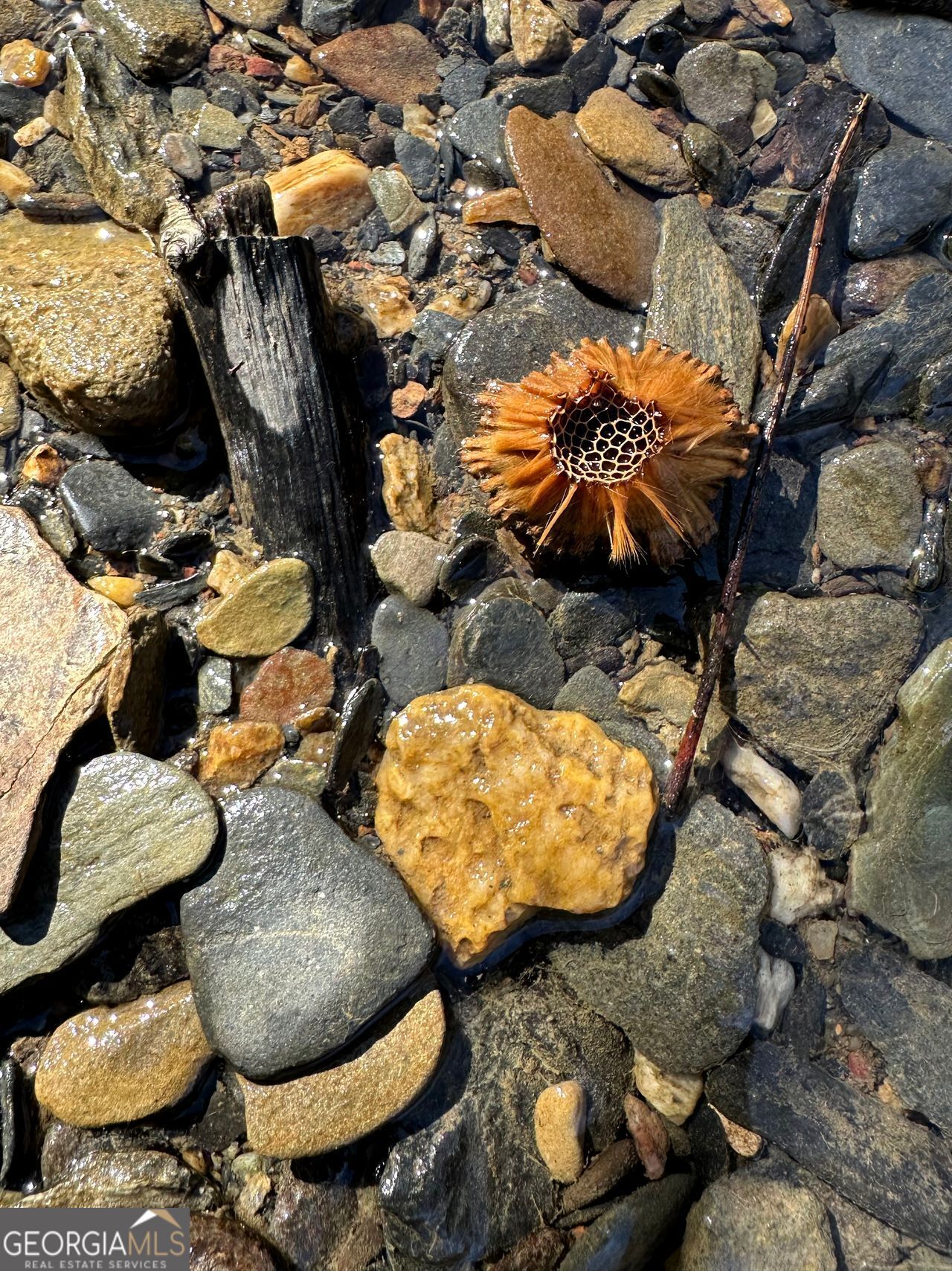 0 Conniston Road Chatsworth, GA 30705 - Photo 9 of 20 an aerial view of residential houses with outdoor space