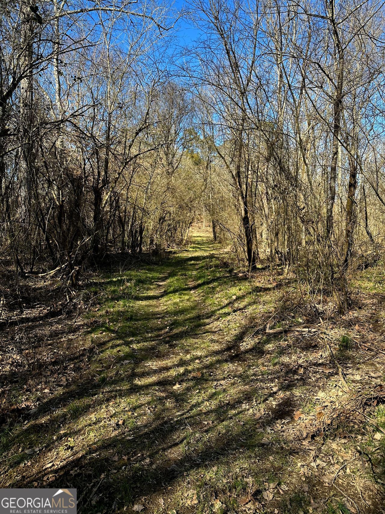 0 Conniston Road Chatsworth, GA 30705 - Photo 10 of 20 a view of outdoor space with a yard