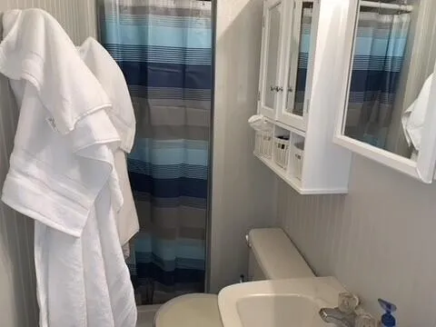 a bathroom with a toilet and a shower