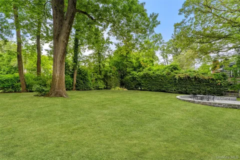 a view of field with trees in the background