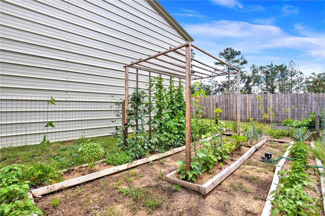 2926 Buster Phillips Road Southeast Ludowici, GA 31316 - Photo 44 of 51 Garden space