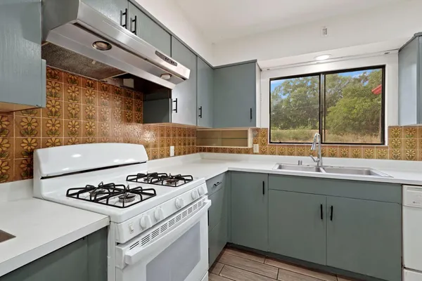 a view of a yard with plants and a tree