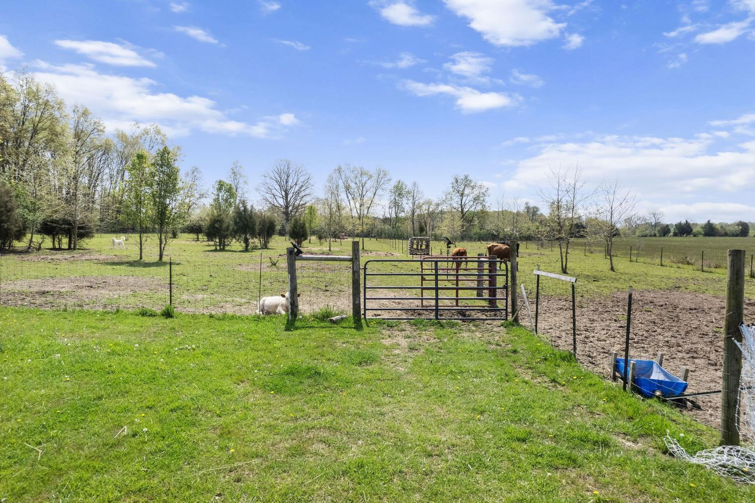 6866 Johnson Road Blanchester, OH 45107 - Photo 40 of 44 Gallery Image 40