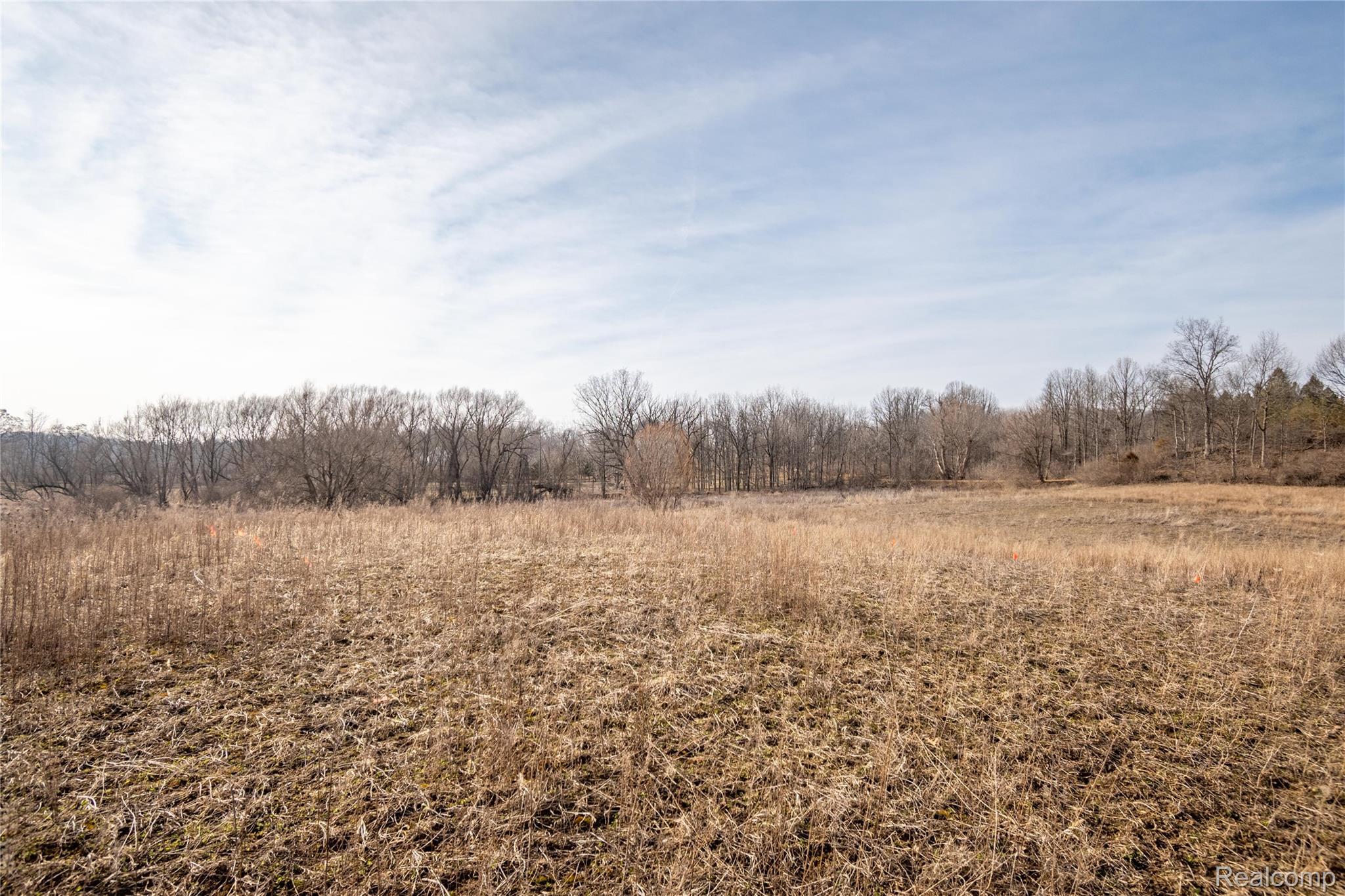 0 Heim Road Chelsea, MI 48118 - Photo 8 of 29 Heim Rd Vacant-7.jpg