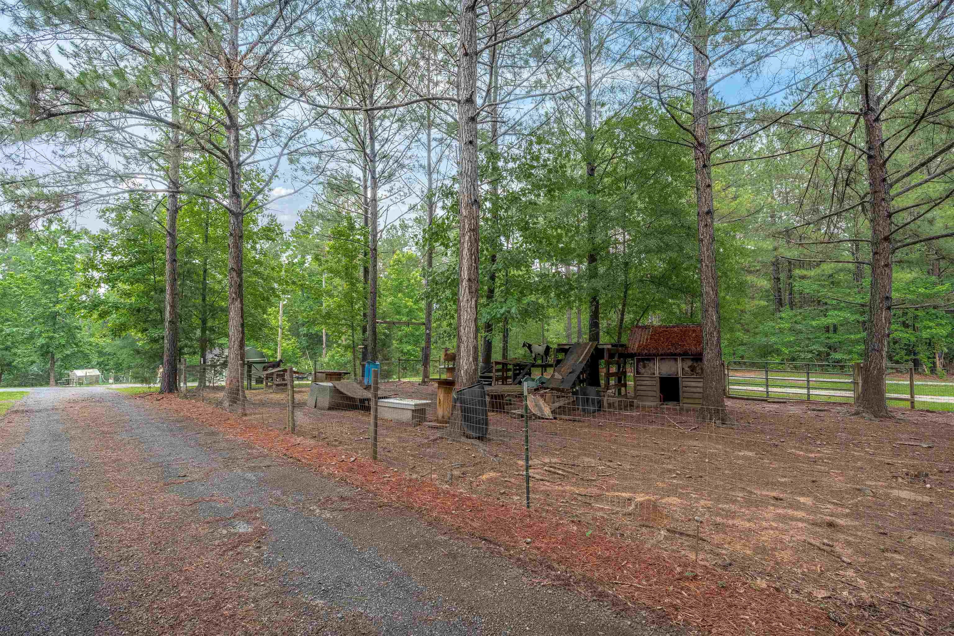 565 Portia Road Blythewood, SC 29016 - Photo 42 of 70