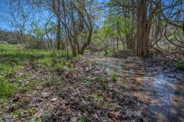 $2,499,995 | Tbd Wallace Pike, Bristol, VA 24202