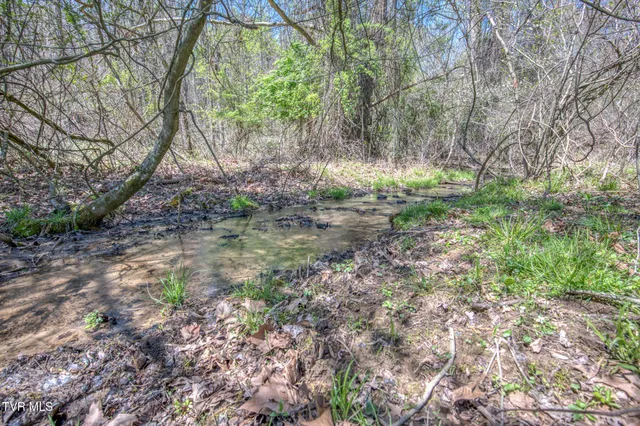 $2,499,995 | Tbd Wallace Pike, Bristol, VA 24202