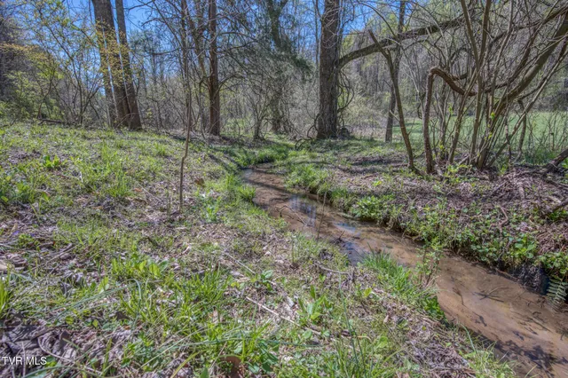 $2,499,995 | Tbd Wallace Pike, Bristol, VA 24202