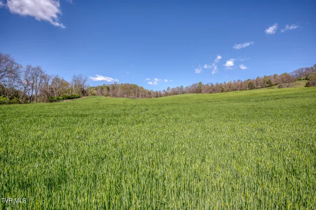 $2,499,995 | Tbd Wallace Pike, Bristol, VA 24202