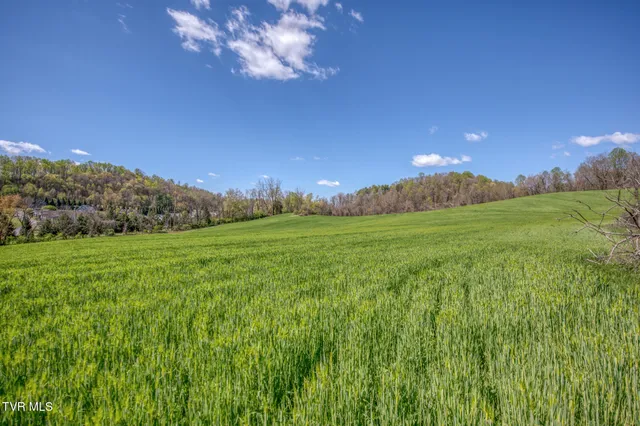 $2,499,995 | Tbd Wallace Pike, Bristol, VA 24202