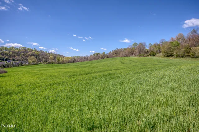 $2,499,995 | Tbd Wallace Pike, Bristol, VA 24202