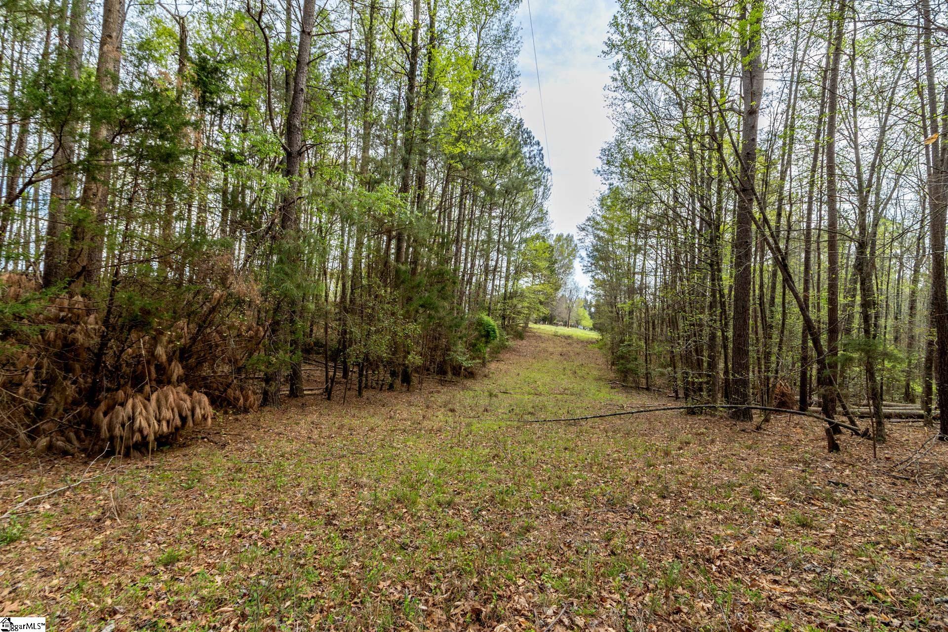 365 Old Bethel Road Moore, SC 29369 - Photo 41 of 50