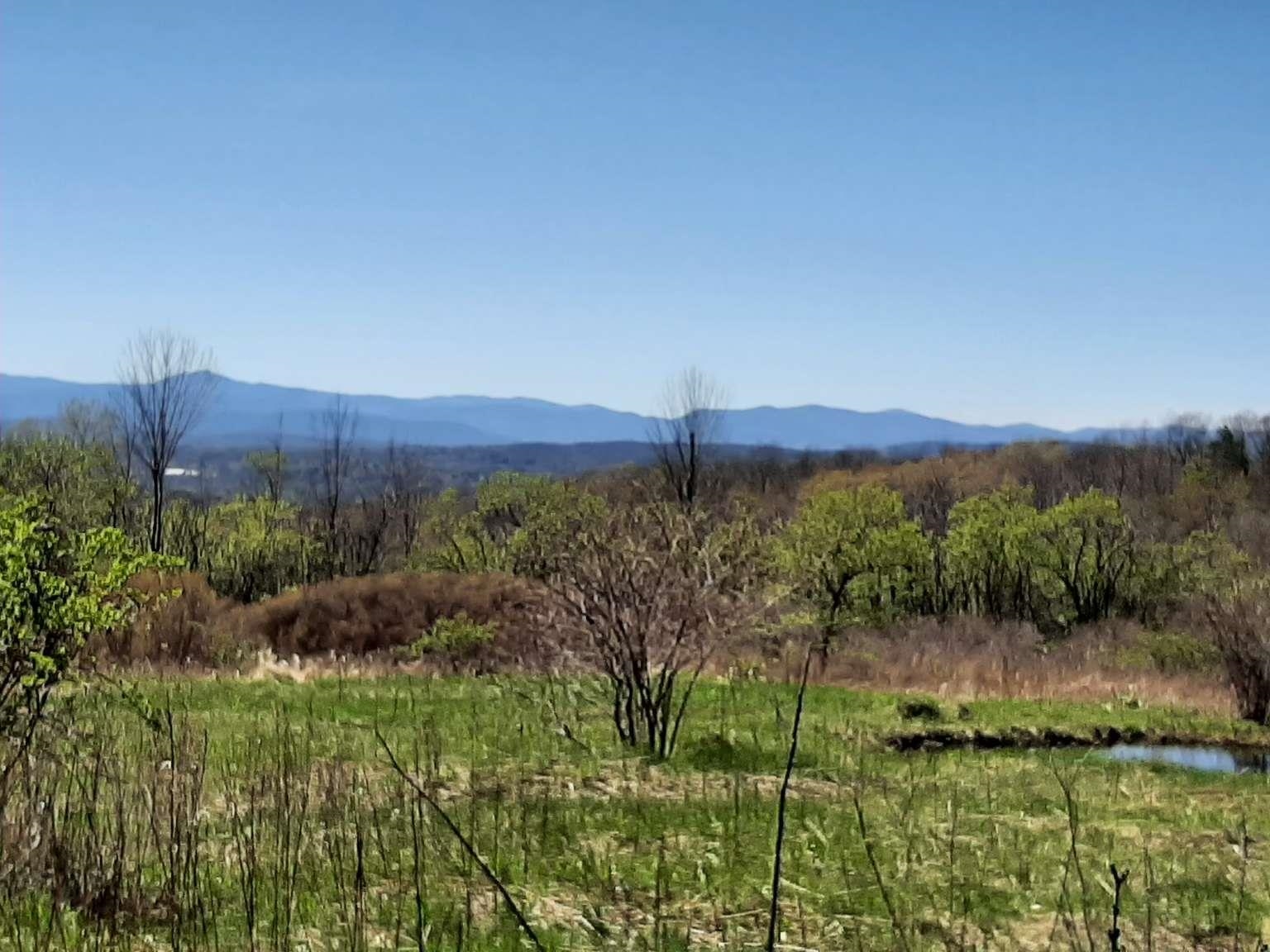 696 Applesauce Hill Road Castleton, VT 05735 - Photo 2 of 11