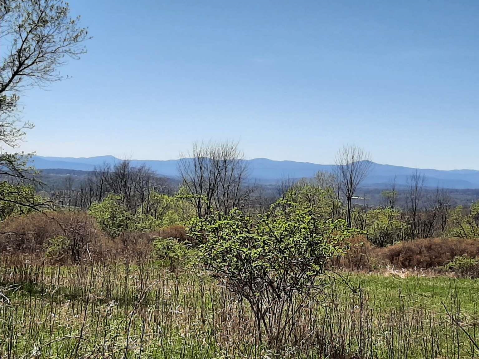 696 Applesauce Hill Road Castleton, VT 05735 - Photo 5 of 11